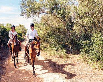 Stadnina koni Salino